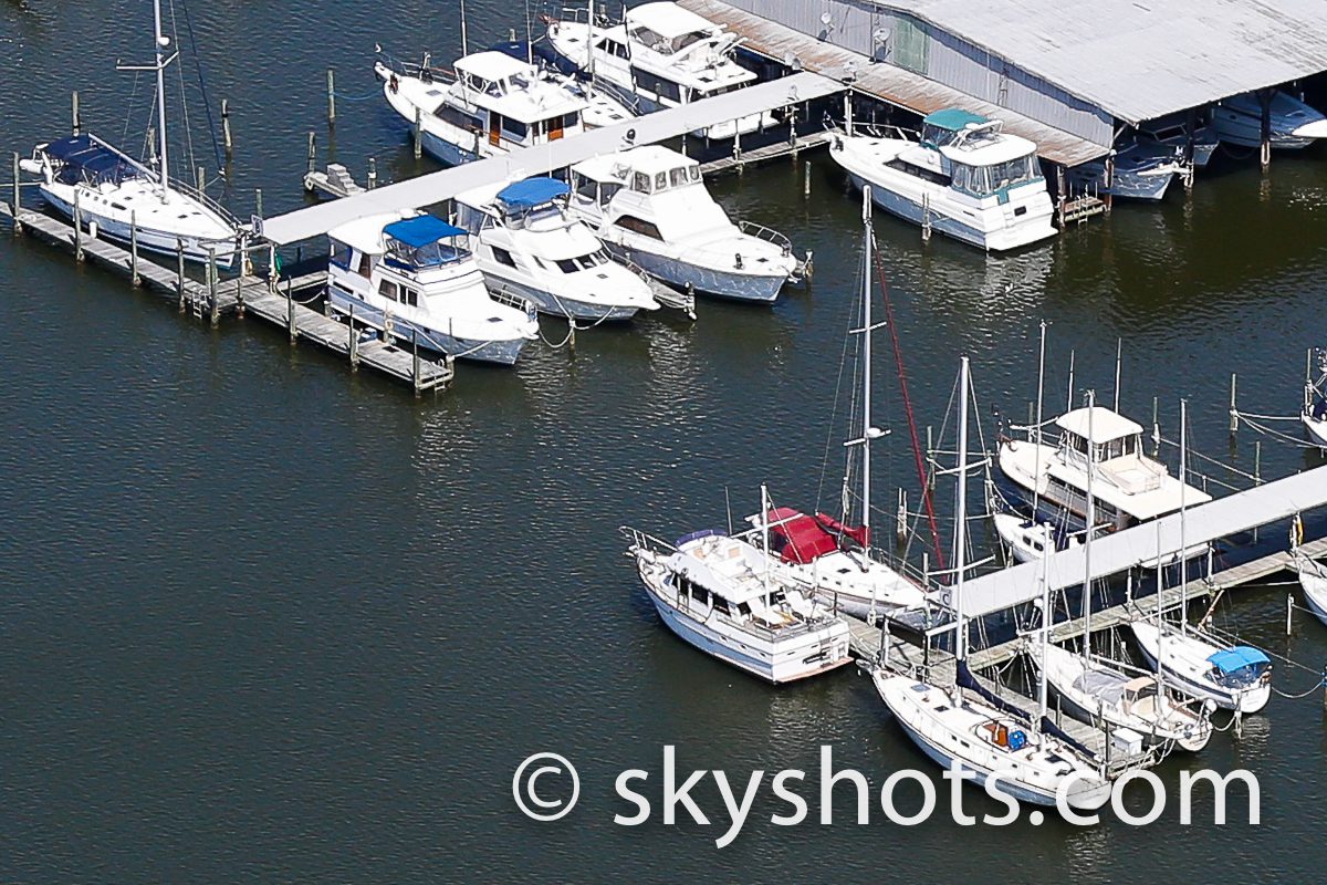 Boats docked at a marina
