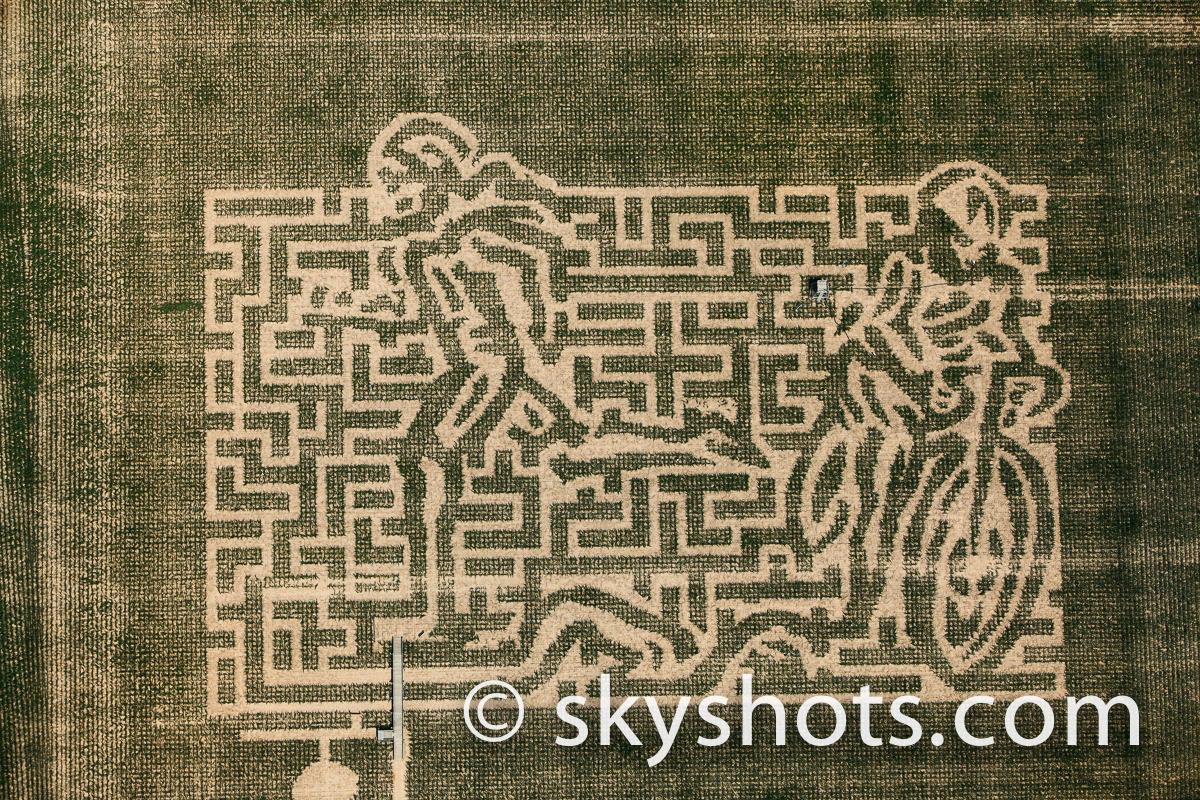 Crop field maze with artistic pattern